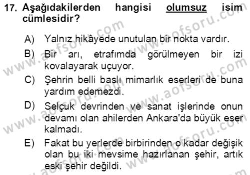 Türkçe Cümle Bilgisi 2 Dersi 2016 - 2017 Yılı (Final) Dönem Sonu Sınav Soruları 17. Soru