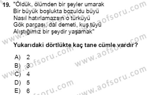 Türkçe Cümle Bilgisi 2 Dersi 2016 - 2017 Yılı (Final) Dönem Sonu Sınav Soruları 19. Soru