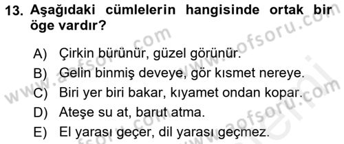 Türkçe Cümle Bilgisi 2 Dersi 2017 - 2018 Yılı (Vize) Ara Sınav Soruları 13. Soru