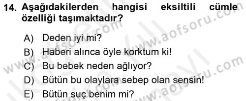 Türkçe Cümle Bilgisi 2 Dersi 2017 - 2018 Yılı (Vize) Ara Sınav Soruları 14. Soru
