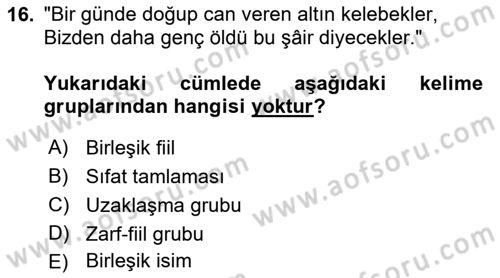 Türkçe Cümle Bilgisi 2 Dersi 2017 - 2018 Yılı (Vize) Ara Sınav Soruları 16. Soru