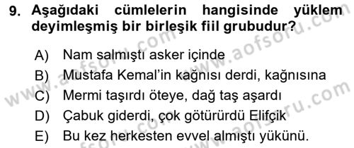 Türkçe Cümle Bilgisi 2 Dersi 2017 - 2018 Yılı (Vize) Ara Sınav Soruları 9. Soru