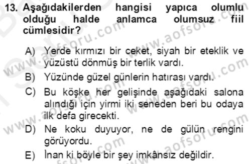 Türkçe Cümle Bilgisi 2 Dersi 2017 - 2018 Yılı (Final) Dönem Sonu Sınav Soruları 13. Soru