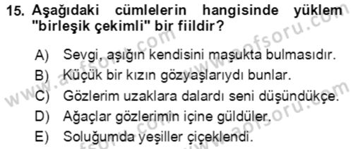 Türkçe Cümle Bilgisi 2 Dersi 2017 - 2018 Yılı (Final) Dönem Sonu Sınav Soruları 15. Soru