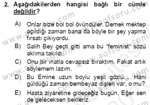 Türkçe Cümle Bilgisi 2 Dersi 2017 - 2018 Yılı (Final) Dönem Sonu Sınav Soruları 2. Soru