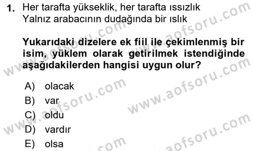 Türkçe Cümle Bilgisi 2 Dersi 2018 - 2019 Yılı (Vize) Ara Sınav Soruları 1. Soru