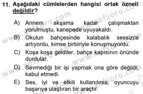 Türkçe Cümle Bilgisi 2 Dersi 2018 - 2019 Yılı (Vize) Ara Sınav Soruları 11. Soru