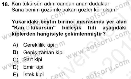 Türkçe Cümle Bilgisi 2 Dersi 2018 - 2019 Yılı (Vize) Ara Sınav Soruları 18. Soru