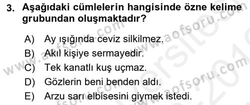 Türkçe Cümle Bilgisi 2 Dersi 2018 - 2019 Yılı (Vize) Ara Sınav Soruları 3. Soru