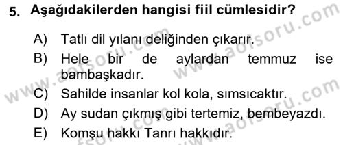 Türkçe Cümle Bilgisi 2 Dersi 2018 - 2019 Yılı (Vize) Ara Sınav Soruları 5. Soru