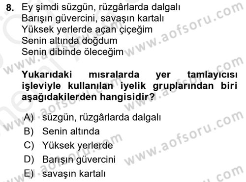 Türkçe Cümle Bilgisi 2 Dersi 2018 - 2019 Yılı (Vize) Ara Sınav Soruları 8. Soru