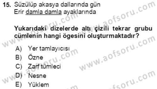 Türkçe Cümle Bilgisi 2 Dersi 2018 - 2019 Yılı (Final) Dönem Sonu Sınav Soruları 15. Soru
