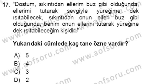 Türkçe Cümle Bilgisi 2 Dersi 2018 - 2019 Yılı (Final) Dönem Sonu Sınav Soruları 17. Soru