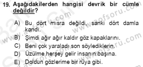 Türkçe Cümle Bilgisi 2 Dersi 2018 - 2019 Yılı (Final) Dönem Sonu Sınav Soruları 19. Soru
