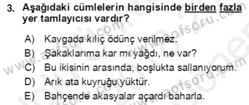 Türkçe Cümle Bilgisi 2 Dersi 2018 - 2019 Yılı (Final) Dönem Sonu Sınav Soruları 3. Soru