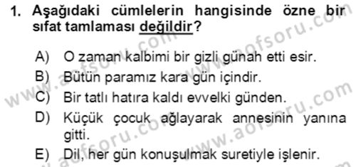 Türkçe Cümle Bilgisi 2 Dersi 2020 - 2021 Yılı Yaz Okulu Sınav Soruları 1. Soru