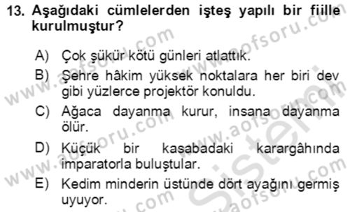 Türkçe Cümle Bilgisi 2 Dersi 2020 - 2021 Yılı Yaz Okulu Sınav Soruları 13. Soru