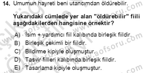 Türkçe Cümle Bilgisi 2 Dersi 2020 - 2021 Yılı Yaz Okulu Sınav Soruları 14. Soru