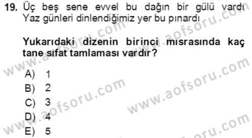 Türkçe Cümle Bilgisi 2 Dersi 2020 - 2021 Yılı Yaz Okulu Sınav Soruları 19. Soru