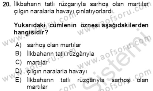 Türkçe Cümle Bilgisi 2 Dersi 2020 - 2021 Yılı Yaz Okulu Sınav Soruları 20. Soru