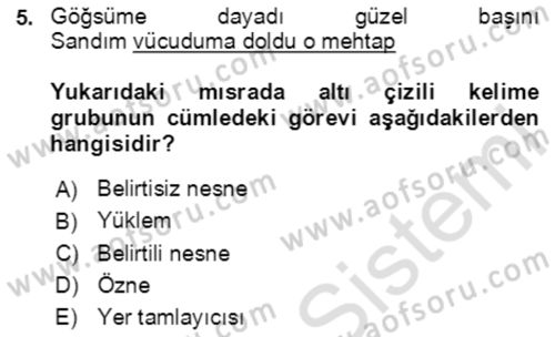 Türkçe Cümle Bilgisi 2 Dersi 2020 - 2021 Yılı Yaz Okulu Sınav Soruları 5. Soru