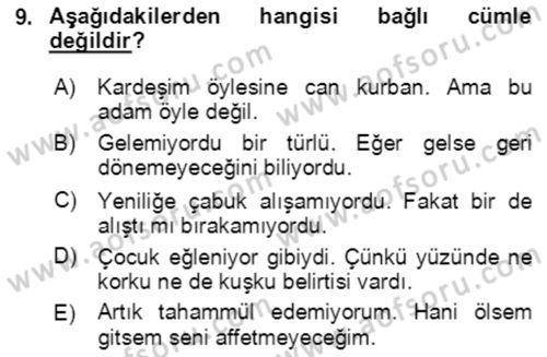 Türkçe Cümle Bilgisi 2 Dersi 2020 - 2021 Yılı Yaz Okulu Sınav Soruları 9. Soru