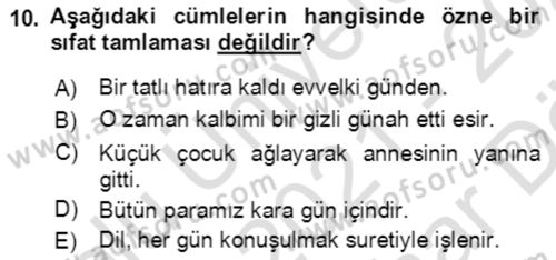 Türkçe Cümle Bilgisi 2 Dersi 2021 - 2022 Yılı (Vize) Ara Sınav Soruları 10. Soru