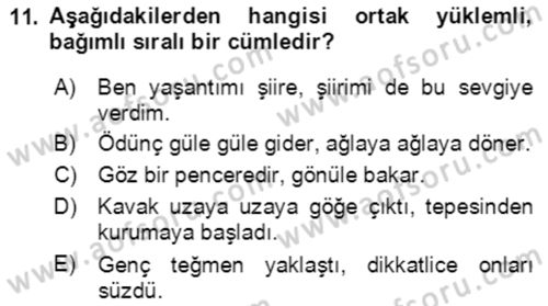 Türkçe Cümle Bilgisi 2 Dersi 2021 - 2022 Yılı (Vize) Ara Sınav Soruları 11. Soru