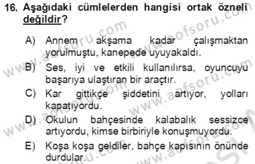 Türkçe Cümle Bilgisi 2 Dersi 2021 - 2022 Yılı (Vize) Ara Sınav Soruları 16. Soru