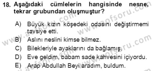 Türkçe Cümle Bilgisi 2 Dersi 2021 - 2022 Yılı (Vize) Ara Sınav Soruları 18. Soru