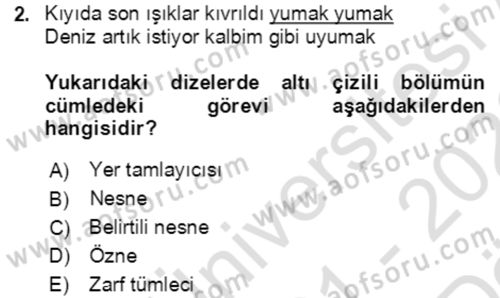 Türkçe Cümle Bilgisi 2 Dersi 2021 - 2022 Yılı (Vize) Ara Sınav Soruları 2. Soru