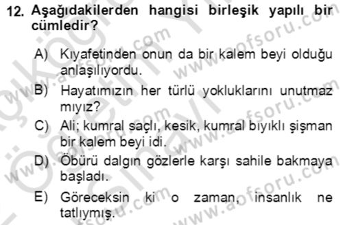 Türkçe Cümle Bilgisi 2 Dersi 2021 - 2022 Yılı Yaz Okulu Sınav Soruları 12. Soru