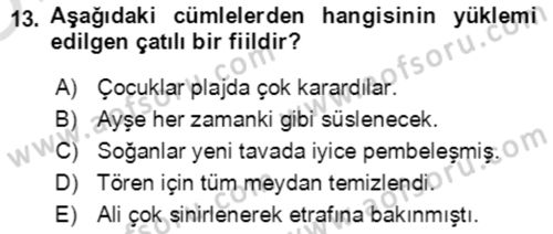 Türkçe Cümle Bilgisi 2 Dersi 2021 - 2022 Yılı Yaz Okulu Sınav Soruları 13. Soru