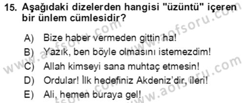Türkçe Cümle Bilgisi 2 Dersi 2021 - 2022 Yılı Yaz Okulu Sınav Soruları 15. Soru