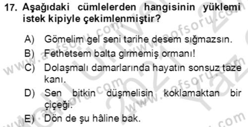 Türkçe Cümle Bilgisi 2 Dersi 2021 - 2022 Yılı Yaz Okulu Sınav Soruları 17. Soru