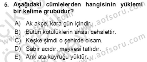 Türkçe Cümle Bilgisi 2 Dersi 2021 - 2022 Yılı Yaz Okulu Sınav Soruları 5. Soru