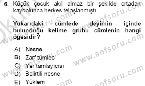 Türkçe Cümle Bilgisi 2 Dersi 2021 - 2022 Yılı Yaz Okulu Sınav Soruları 6. Soru