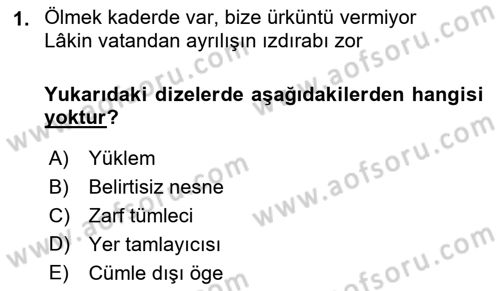 Türkçe Cümle Bilgisi 2 Dersi 2022 - 2023 Yılı Yaz Okulu Sınav Soruları 1. Soru