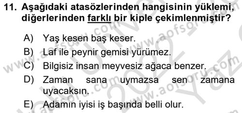 Türkçe Cümle Bilgisi 2 Dersi 2022 - 2023 Yılı Yaz Okulu Sınav Soruları 11. Soru