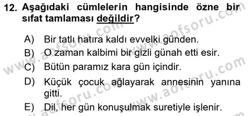 Türkçe Cümle Bilgisi 2 Dersi 2022 - 2023 Yılı Yaz Okulu Sınav Soruları 12. Soru