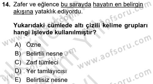 Türkçe Cümle Bilgisi 2 Dersi 2022 - 2023 Yılı Yaz Okulu Sınav Soruları 14. Soru