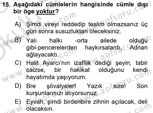 Türkçe Cümle Bilgisi 2 Dersi 2022 - 2023 Yılı Yaz Okulu Sınav Soruları 15. Soru