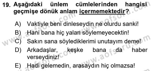 Türkçe Cümle Bilgisi 2 Dersi 2022 - 2023 Yılı Yaz Okulu Sınav Soruları 19. Soru
