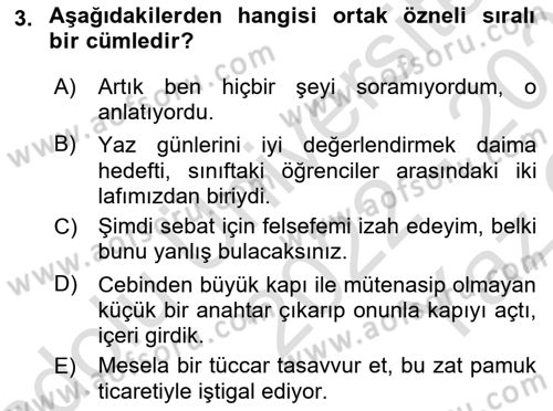 Türkçe Cümle Bilgisi 2 Dersi 2022 - 2023 Yılı Yaz Okulu Sınav Soruları 3. Soru