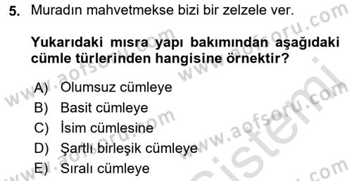 Türkçe Cümle Bilgisi 2 Dersi 2022 - 2023 Yılı Yaz Okulu Sınav Soruları 5. Soru