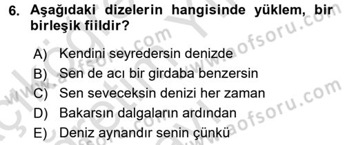 Türkçe Cümle Bilgisi 2 Dersi 2022 - 2023 Yılı Yaz Okulu Sınav Soruları 6. Soru