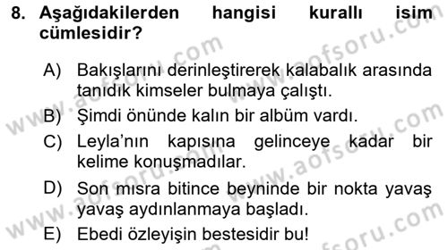 Türkçe Cümle Bilgisi 2 Dersi 2022 - 2023 Yılı Yaz Okulu Sınav Soruları 8. Soru