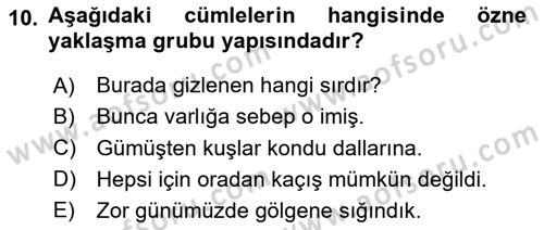 Türkçe Cümle Bilgisi 2 Dersi 2023 - 2024 Yılı (Vize) Ara Sınav Soruları 10. Soru