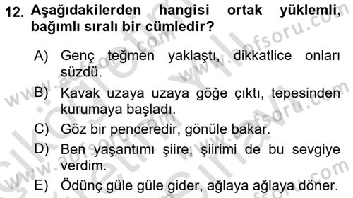 Türkçe Cümle Bilgisi 2 Dersi 2023 - 2024 Yılı (Vize) Ara Sınav Soruları 12. Soru