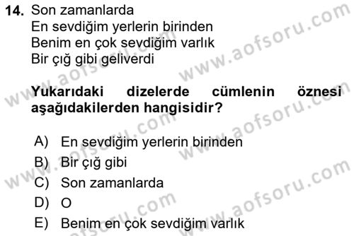 Türkçe Cümle Bilgisi 2 Dersi 2023 - 2024 Yılı (Vize) Ara Sınav Soruları 14. Soru